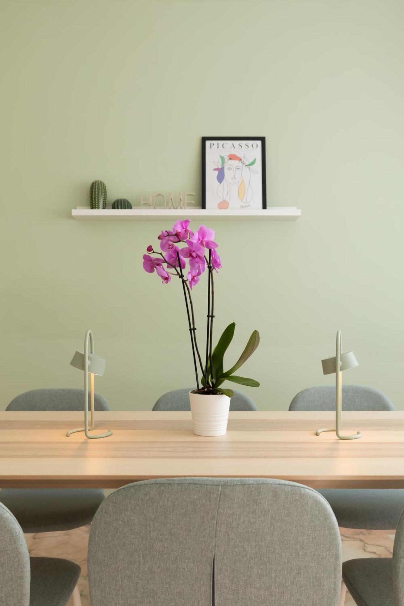 Domiziano Boutique Apartment Rzym Zewnętrze zdjęcie